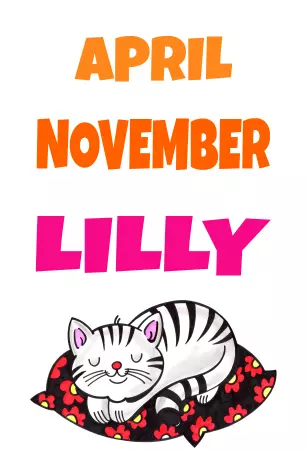  Katzen April / November / LILLY Bild