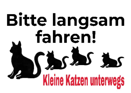  Katzen Kleine Katzen unterwegs Bild